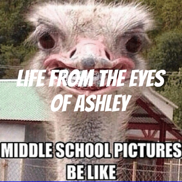 Life From The Eyes Of Ashley Artwork