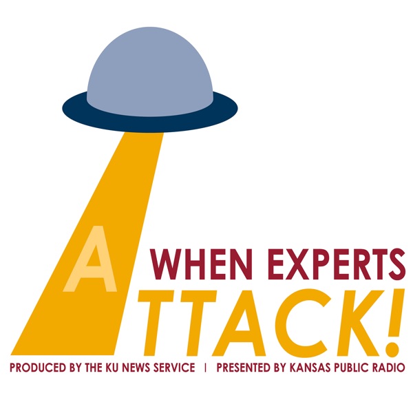 When Experts Attack! Image