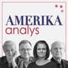 Amerikaanalys