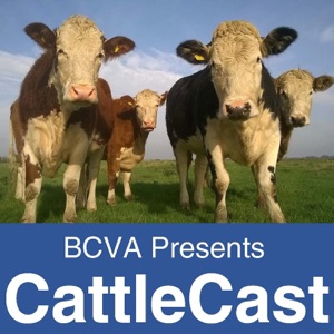 CattleCast