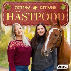 144. Klonade hästar, svinryggar och nostalgi