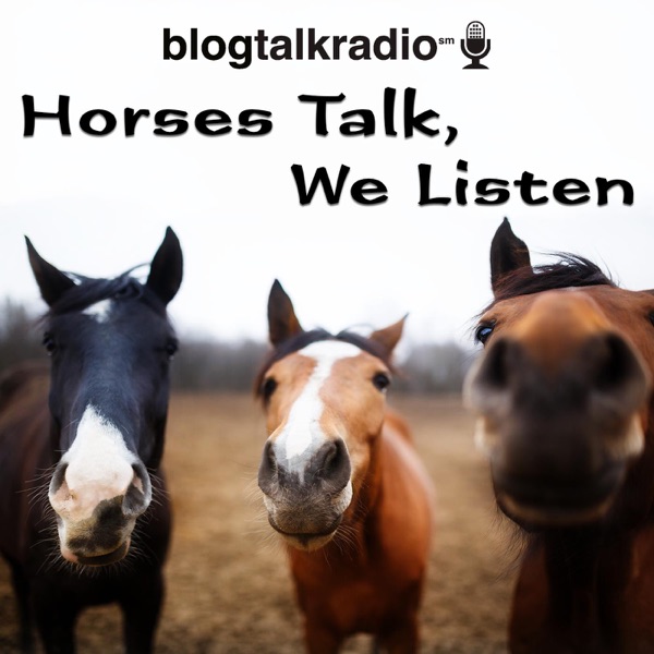 Horses Talk, We Listen Artwork