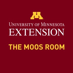 Episode 209 - Salmonella dublin in calves, an overview - UMN Extension's The Moos Room