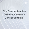 " La Contaminacion Del Aire, Causas Y Consecuencias " - Neyra More Irvin fabian