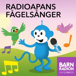 Radioapans fågelsånger: Rödhaken