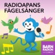 Radioapans fågelsånger: Tranan