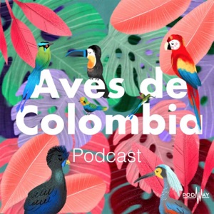 Aves de Colombia