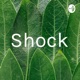 Shock
