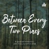 Between Every Two Pines artwork
