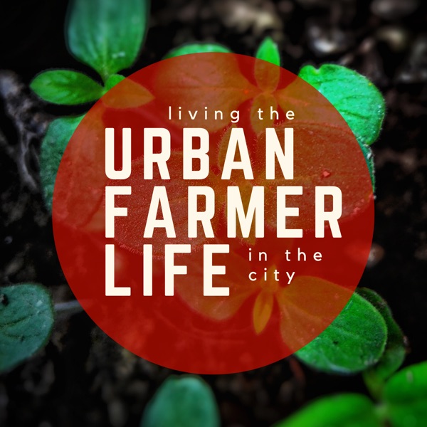 Living the Urban Farmer Life