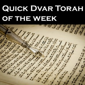 Quick Dvar Torah of the week