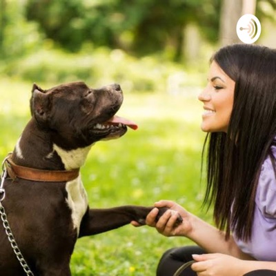 ¿Cómo educar a tu perro?