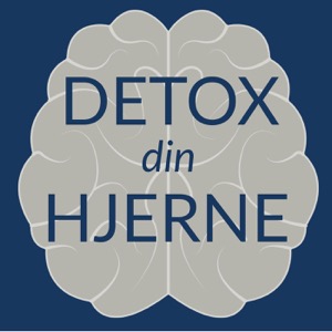 Detox Din Hjerne