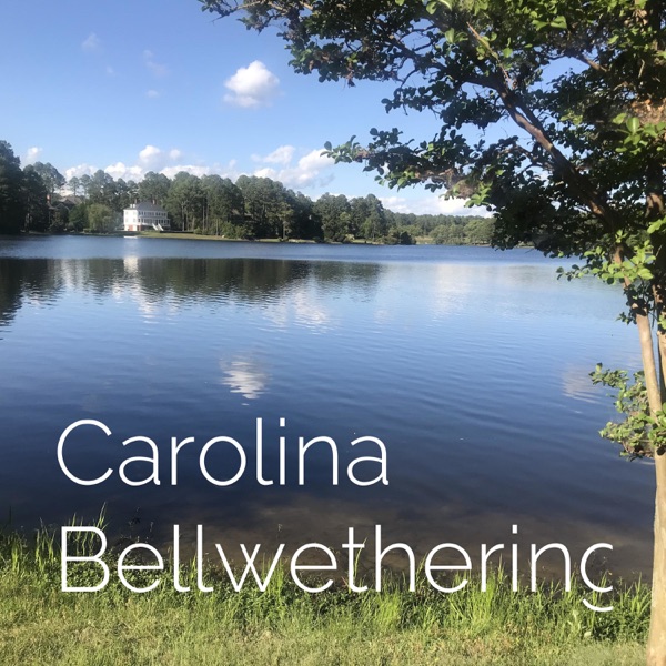 Carolina Bellwethering