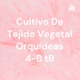 Cultivo De Tejido Vegetal Orquídeas 4-B tB