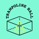 Trampoline Hall