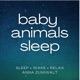 Baby Animals Sleep