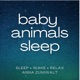 Baby Animals Sleep