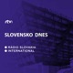 Správy; Téma dńa; Michal Mokrý,slovenský  lekár žijúci v Holandsku; Bodonoš, slovenská dedina v Rumunsku;  Lyon očami Košičanky; (19.6.2024 17:30)