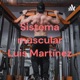 Sistema muscular Luis Martínez