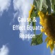 Cause & Effect Equate Reason