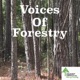 Voices of Forestry Ep. 52 - Changes in Paper Use