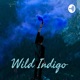 Wild Indigo 