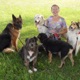 DoggyBoom Wychowanie i trening psów
