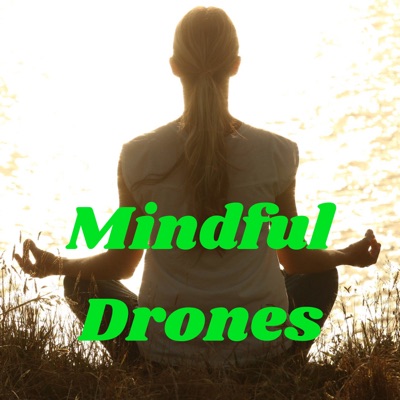 Mindful Drones