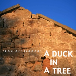 A Duck in a Tree 2024-04-06 | The Nowhere Line