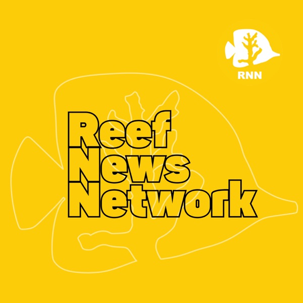 Reef News Network