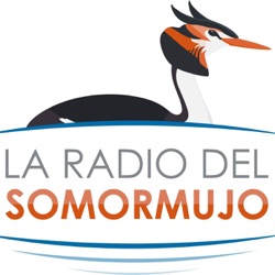 La Radio del Somormujo - Prog 125 21 de octubre de 2021