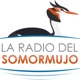 La Radio del Somormujo - Prog 220 Carlos Lozano Robledo