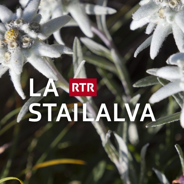 La stailalva