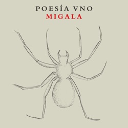 Migala poesía 9 · Sor Juana
