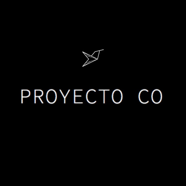 Proyecto Co