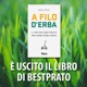 Come Creare Bellissimi Fiori in Giardino (da Seme) - Bestprato Podcast Ep.71