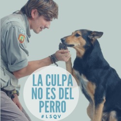 Bob de Flores y Arturo de GH : hablamos de los perros que de sufren maltrato.