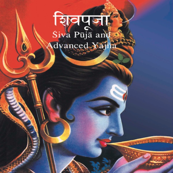 Advanced Shiva Puja and Yagna Artwork