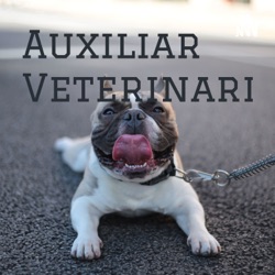 Auxiliar Veterinaria 