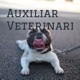 Auxiliar Veterinaria 