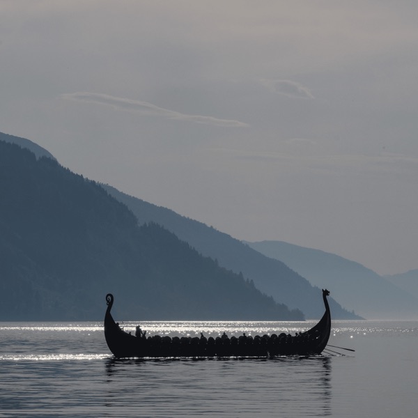 Vikings image