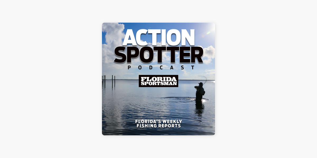 Flashers: A Second Look - Florida Sportsman