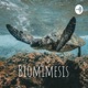 Biomimesis
