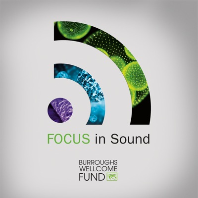 Focus In Sound
