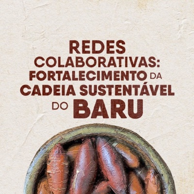 Redes do Baru:Redes Colaborativas do Baru