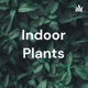 Indoor plants