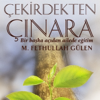 ÇEKİRDEKTEN ÇINARA - Çağlayan Dergisi