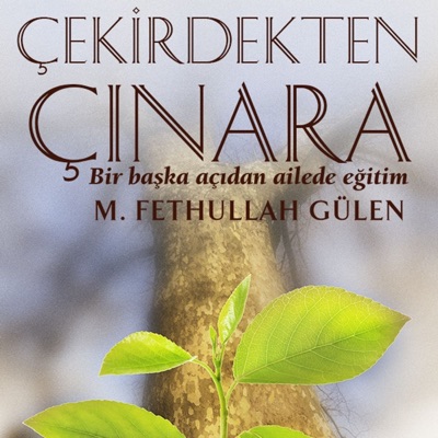 ÇEKİRDEKTEN ÇINARA