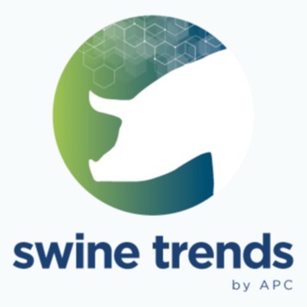 Swine Trends by APC Artwork